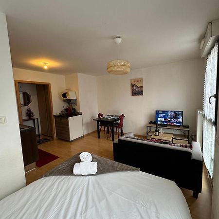 Le "Petit Colmarien" A 1Mn Du Centre Daire Dış mekan fotoğraf